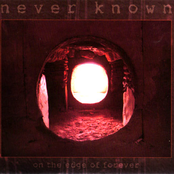 Within A Memory by Never Known