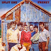 She Got Body She Got Soul by Split Enz