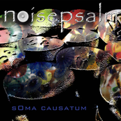 sOma causatum