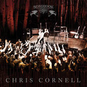 Cleaning My Gun by Chris Cornell