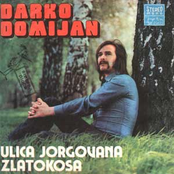 Darko Domijan