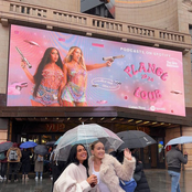 The Girls Bathroom Shorts