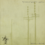 The Candy and Springtime Experience