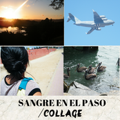 Collage