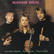 Haslebuskane by Bukkene Bruse