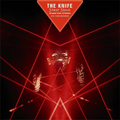 Silent Shout An Audio Visual Experience