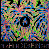 Hidden In Plain Sight