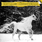 Constant Struggle by Night Gallery