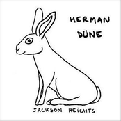 Jackson Heights by Herman Düne