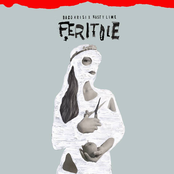 Feritoie
