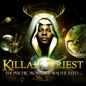 Street Thesis by Killah Priest