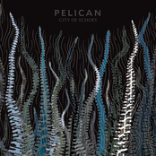 Pelican: City of Echoes