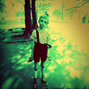 Halcyon Dreams