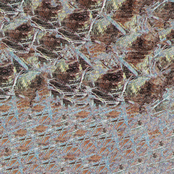 THE VULGARITY OF SNOW