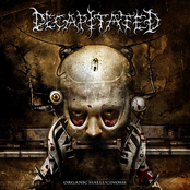 Visual Delusion by Decapitated