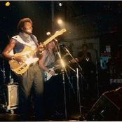 albert collins and the icebreakers