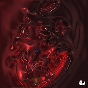 Useful Tools to Entertain your Guests