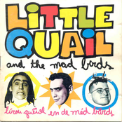 Pump Up The Bird by Little Quail And The Mad Birds