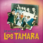 Lo Mejor de los Tamara
