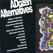 A Dozen Alternatives