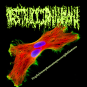 Staphylotoxoplasmstreptococciglioblastoma