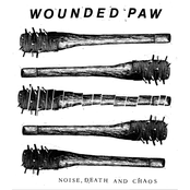 Noise, Death and Chaos