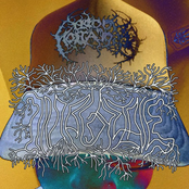 choppasinglikeitsbilal