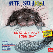 Kohouti by Petr Skoumal