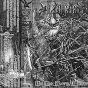 In The Mystic Forest (Demo)