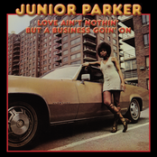 You Know I Love You by Junior Parker