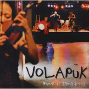 Vol De Voiture by Volapük