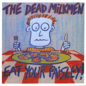 Swampland Of Desire by The Dead Milkmen