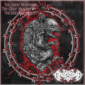 The Great Mortality