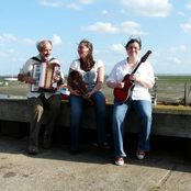 the kittiwakes