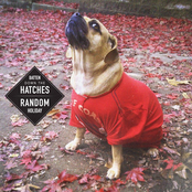 Batten Down The Hatches | Random Holiday