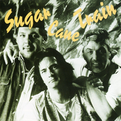 sugar cane train