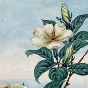 Letters From You - Single