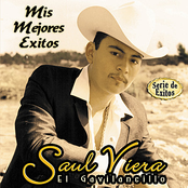 Mis Mejores Exitos - Serie de Exitos