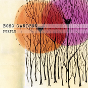 Purple (Echo Gardens, 2011)