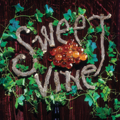 Ever Made Love To Be by Sweet Vine