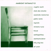 Ambient Intimacy Volume 5