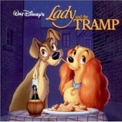 disney - a dama e o vagabundo