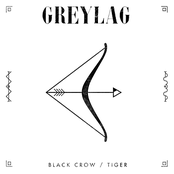 Black Crow / Tiger - Single