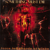 Force Fed Shards of Glass