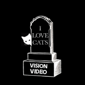 Vision Video: I Love Cats