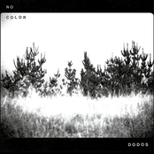 The Dodos: No Color