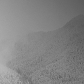 Kald​.​.​. (Split with Vintlechkeit)