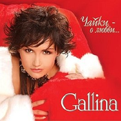 Чайки - о любви...