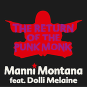 The Return Of The Punk Monk