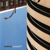 The Niche: Building Up